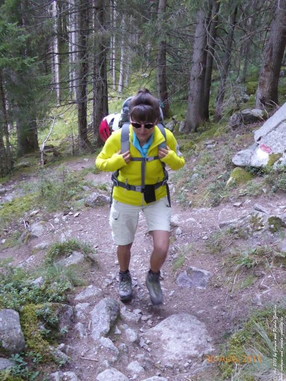 Philosophische Bildwanderung Neue Regensburger Hütte - Neustift in Tirol - Stubaital - Österreich