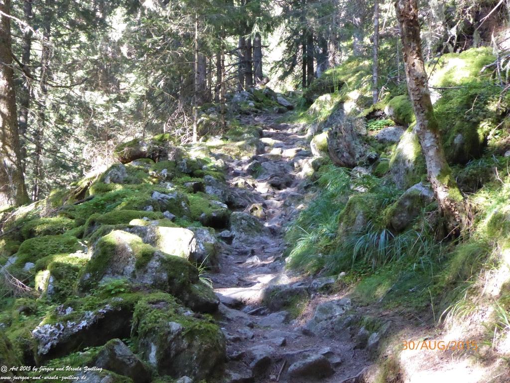 Philosophische Bildwanderung Neue Regensburger Hütte - Neustift in Tirol - Stubaital - Österreich