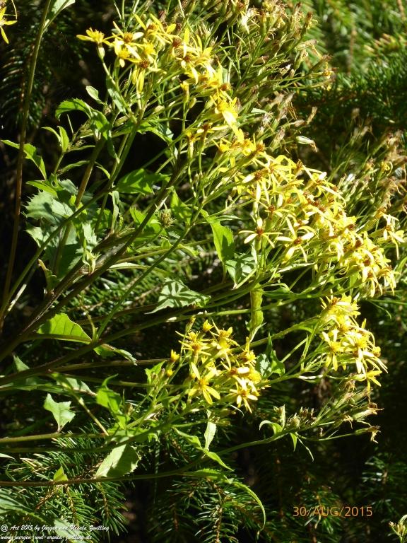 Philosophische Bildwanderung Neue Regensburger Hütte - Neustift in Tirol - Stubaital - Österreich