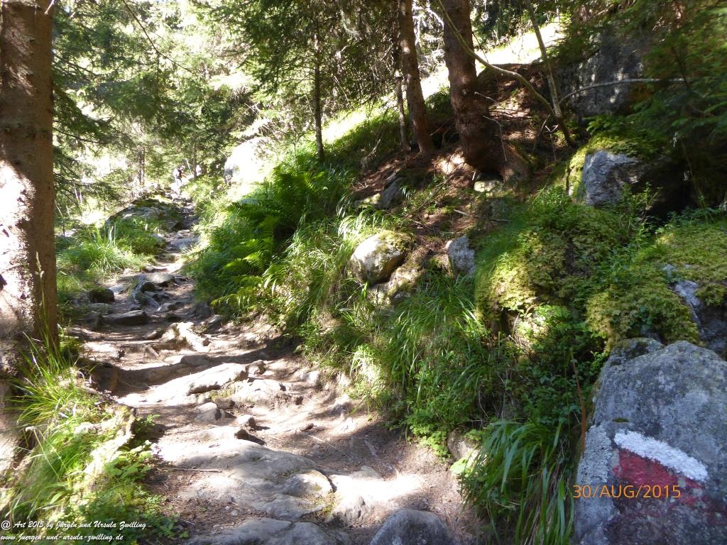 Philosophische Bildwanderung Neue Regensburger Hütte - Neustift in Tirol - Stubaital - Österreich