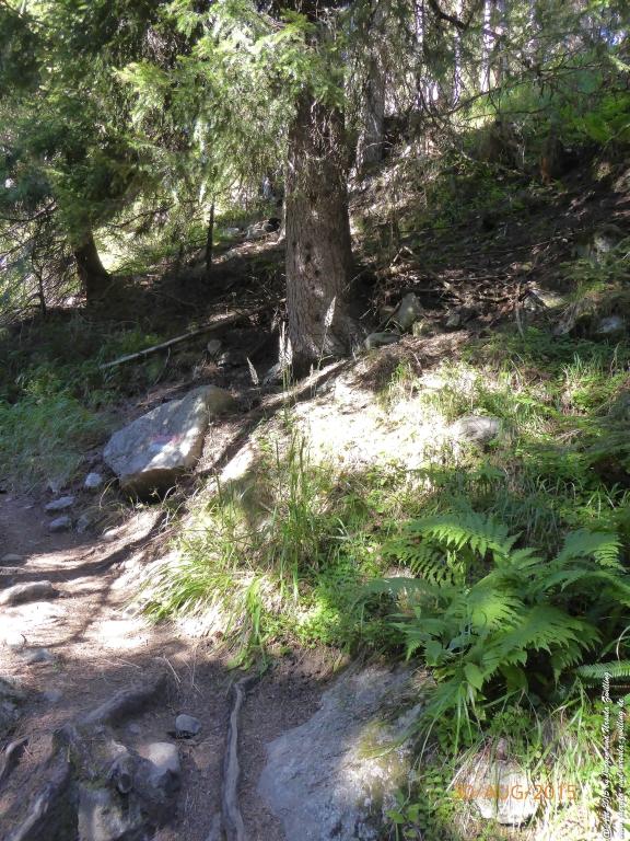 Philosophische Bildwanderung Neue Regensburger Hütte - Neustift in Tirol - Stubaital - Österreich