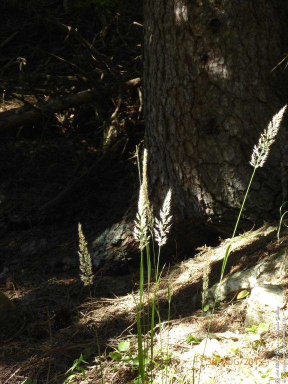 Philosophische Bildwanderung Neue Regensburger Hütte - Neustift in Tirol - Stubaital - Österreich