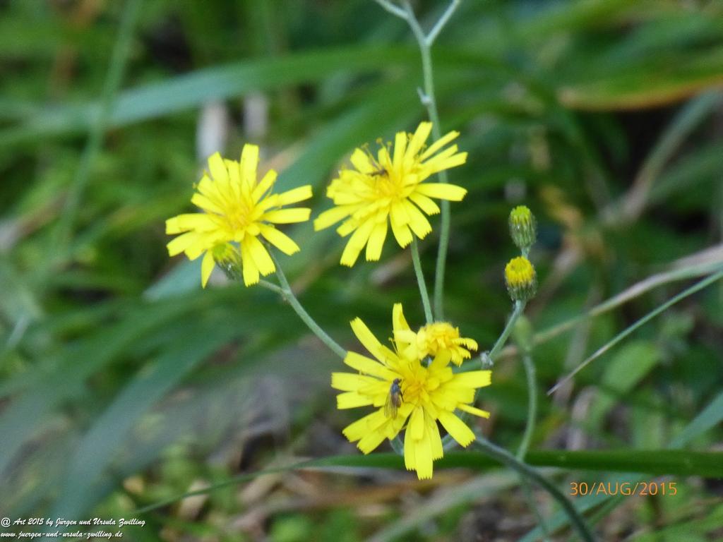 Philosophische Bildwanderung Neue Regensburger Hütte - Neustift in Tirol - Stubaital - Österreich
