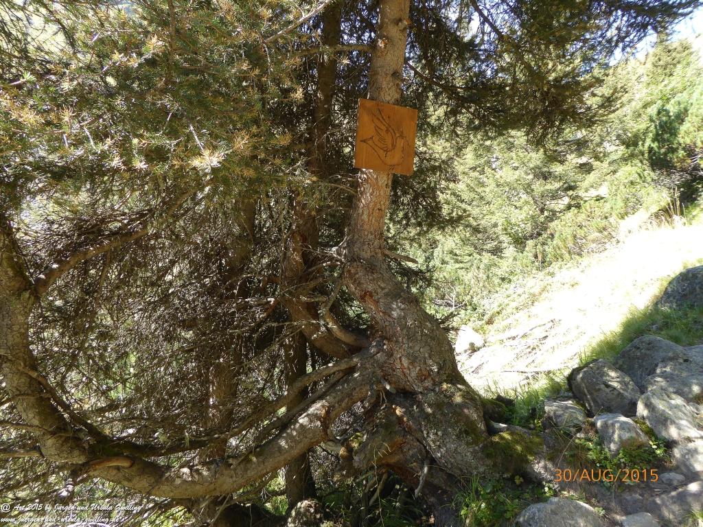 Philosophische Bildwanderung Neue Regensburger Hütte - Neustift in Tirol - Stubaital - Österreich