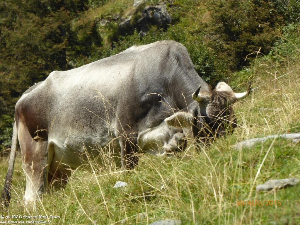 Philosophische Bildwanderung Neue Regensburger Hütte - Neustift in Tirol - Stubaital - Österreich