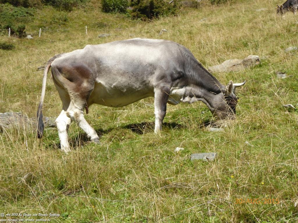 Philosophische Bildwanderung Neue Regensburger Hütte - Neustift in Tirol - Stubaital - Österreich