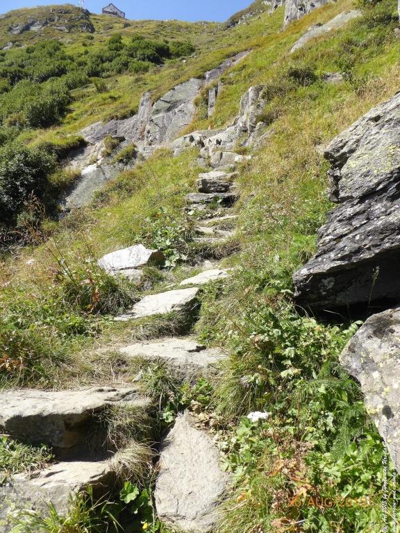 Philosophische Bildwanderung Neue Regensburger Hütte - Neustift in Tirol - Stubaital - Österreich