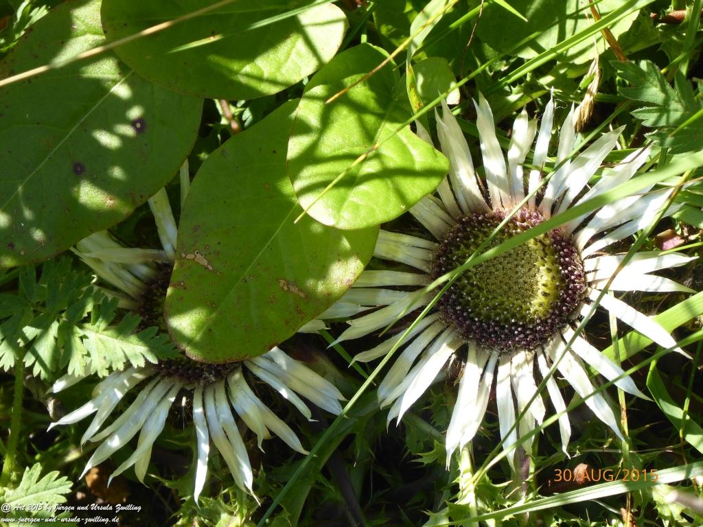 Philosophische Bildwanderung Neue Regensburger Hütte - Neustift in Tirol - Stubaital - Österreich
