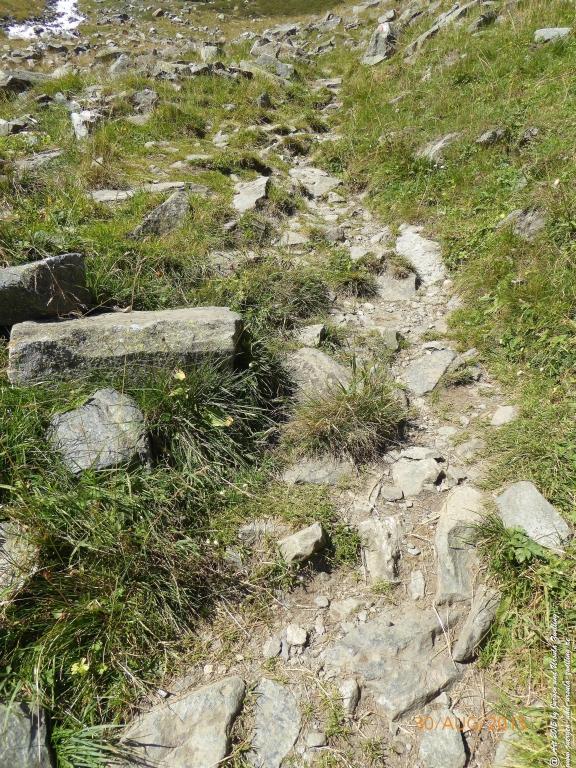 Philosophische Bildwanderung Neue Regensburger Hütte - Neustift in Tirol - Stubaital - Österreich