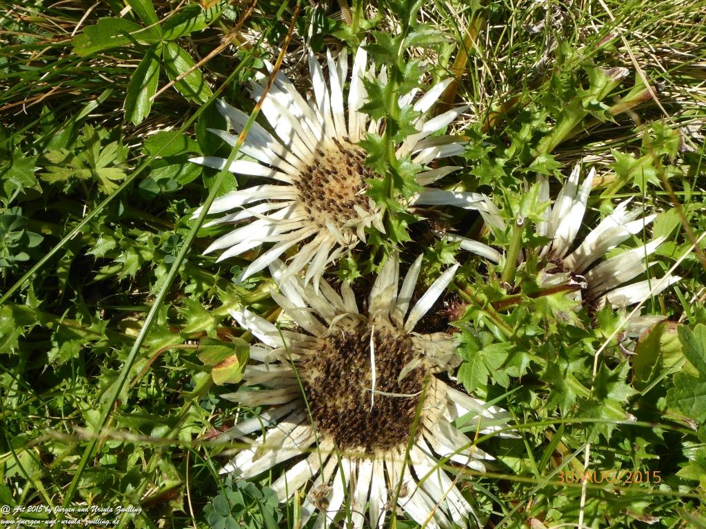 Philosophische Bildwanderung Neue Regensburger Hütte - Neustift in Tirol - Stubaital - Österreich