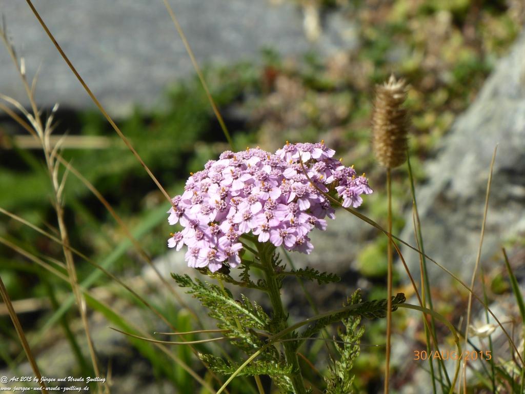 Philosophische Bildwanderung Neue Regensburger Hütte - Neustift in Tirol - Stubaital - Österreich