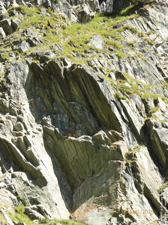 Philosophische Bildwanderung Neue Regensburger Hütte - Neustift in Tirol - Stubaital - Österreich