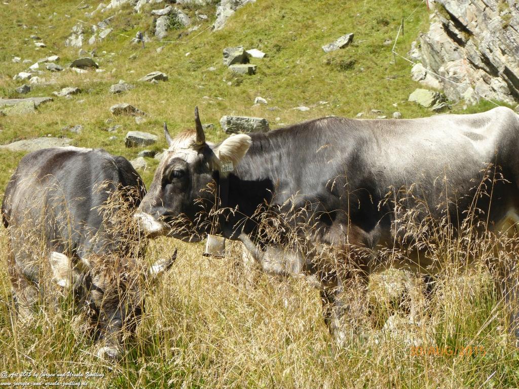 Philosophische Bildwanderung Neue Regensburger Hütte - Neustift in Tirol - Stubaital - Österreich