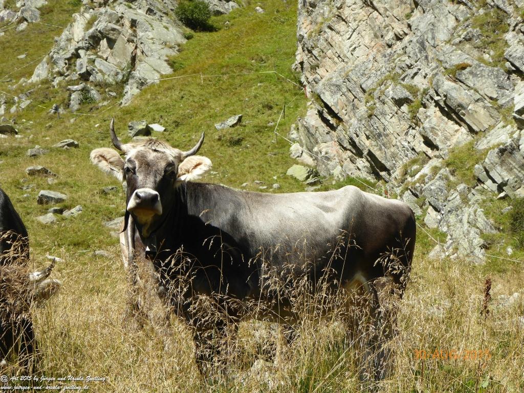 Philosophische Bildwanderung Neue Regensburger Hütte - Neustift in Tirol - Stubaital - Österreich