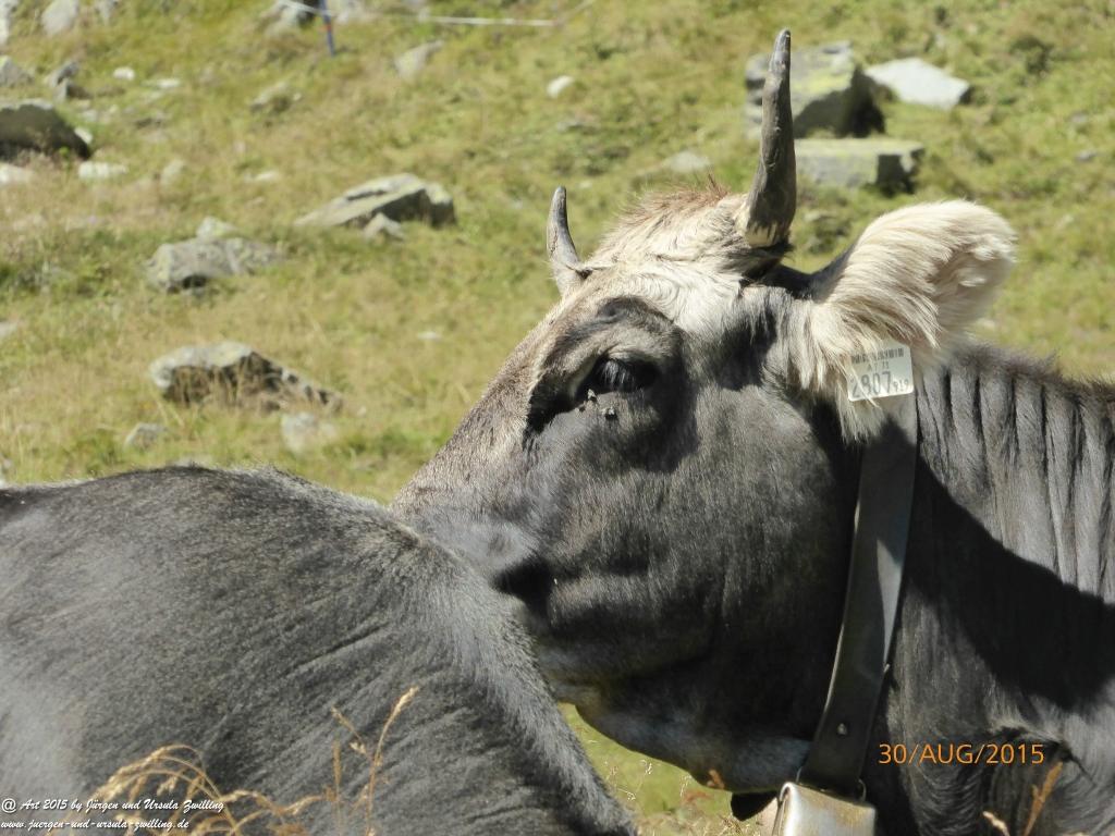 Philosophische Bildwanderung Neue Regensburger Hütte - Neustift in Tirol - Stubaital - Österreich