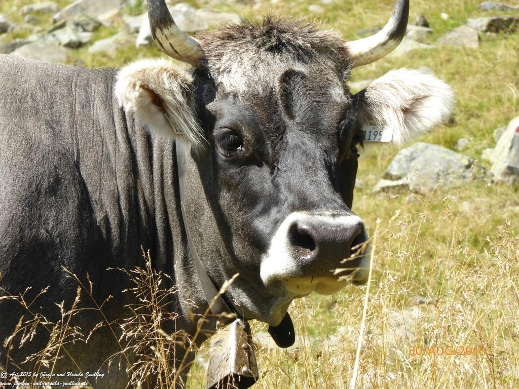 Philosophische Bildwanderung Neue Regensburger Hütte - Neustift in Tirol - Stubaital - Österreich