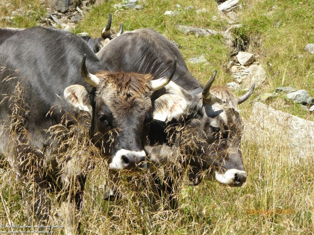 Philosophische Bildwanderung Neue Regensburger Hütte - Neustift in Tirol - Stubaital - Österreich