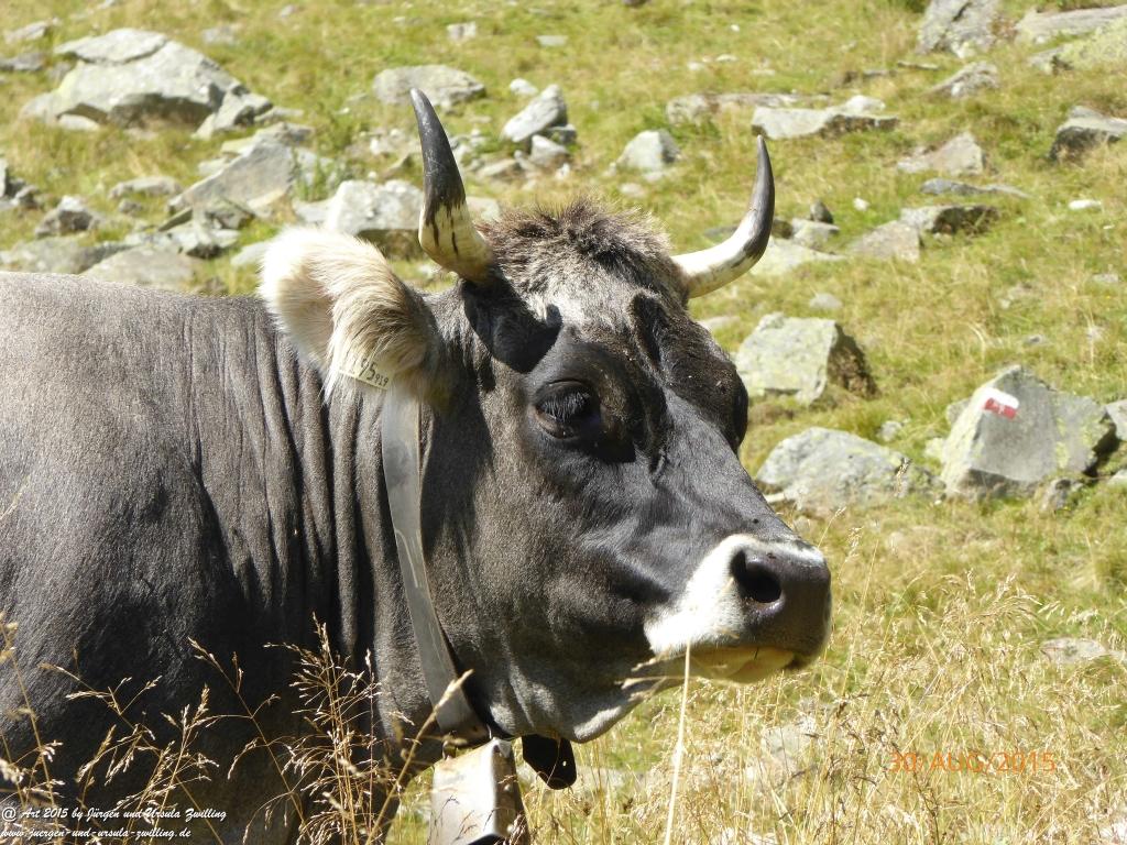 Philosophische Bildwanderung Neue Regensburger Hütte - Neustift in Tirol - Stubaital - Österreich