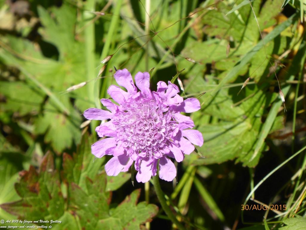 Philosophische Bildwanderung Neue Regensburger Hütte - Neustift in Tirol - Stubaital - Österreich