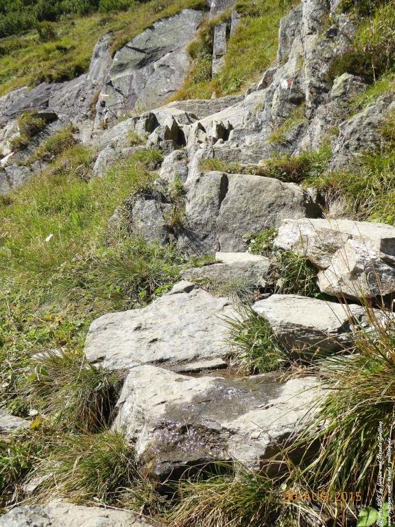 Philosophische Bildwanderung Neue Regensburger Hütte - Neustift in Tirol - Stubaital - Österreich