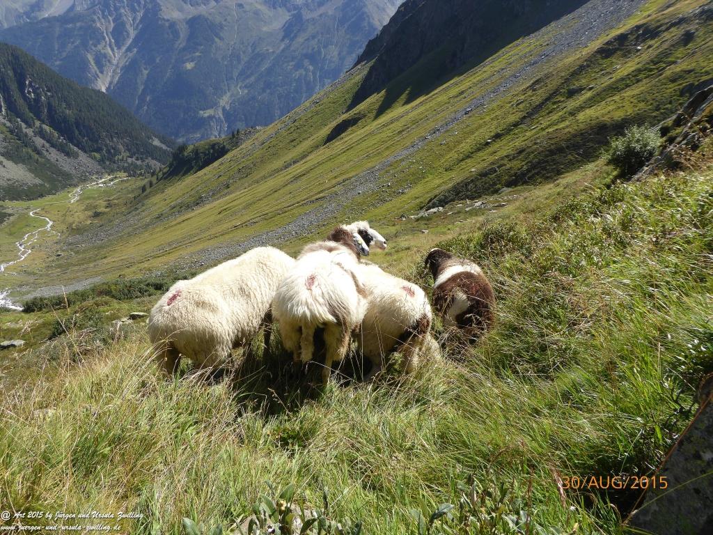 Philosophische Bildwanderung Neue Regensburger Hütte - Neustift in Tirol - Stubaital - Österreich
