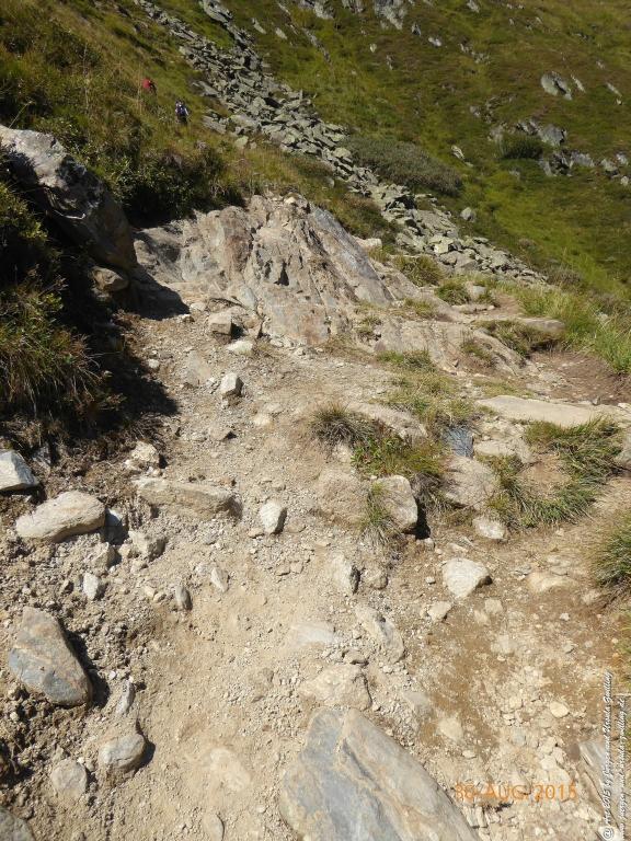 Philosophische Bildwanderung Neue Regensburger Hütte - Neustift in Tirol - Stubaital - Österreich