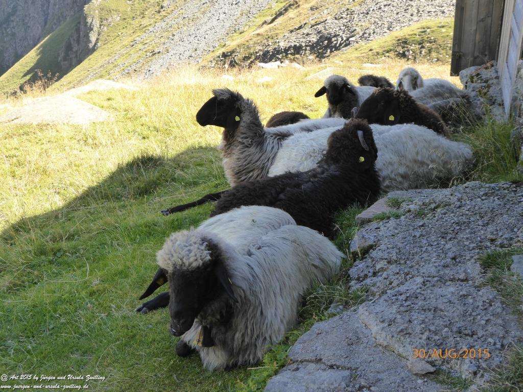 Philosophische Bildwanderung Neue Regensburger Hütte  - Neustift in Tirol - Stubaital - Österreich