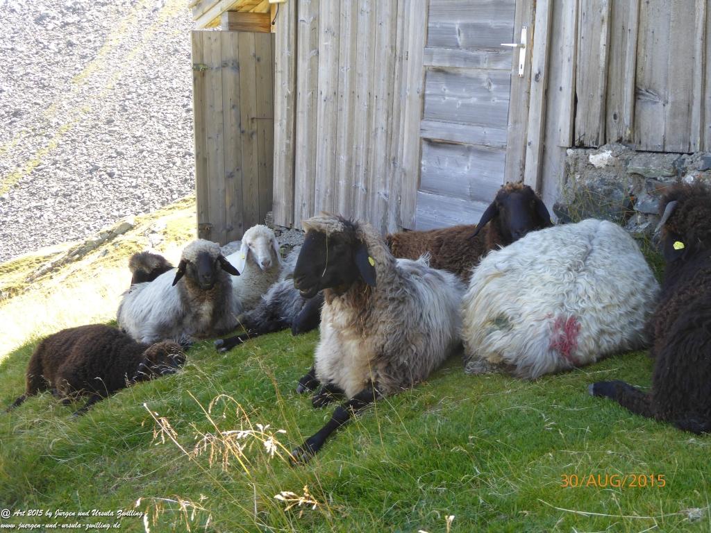 Philosophische Bildwanderung Neue Regensburger Hütte - Neustift in Tirol - Stubaital - Österreich