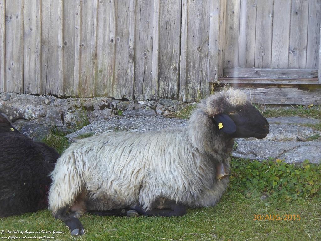 Philosophische Bildwanderung Neue Regensburger Hütte - Neustift in Tirol - Stubaital - Österreich