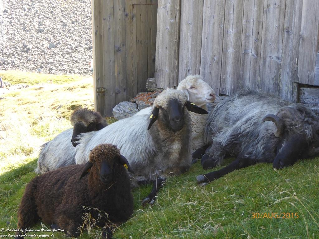 Philosophische Bildwanderung Neue Regensburger Hütte - Neustift in Tirol - Stubaital - Österreich