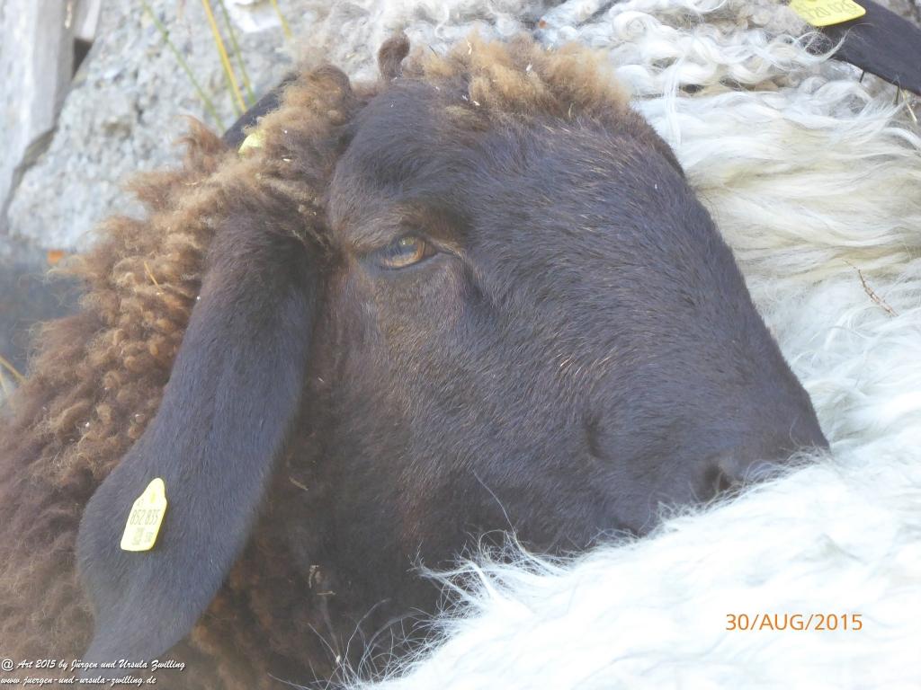 Philosophische Bildwanderung Neue Regensburger Hütte - Neustift in Tirol - Stubaital - Österreich