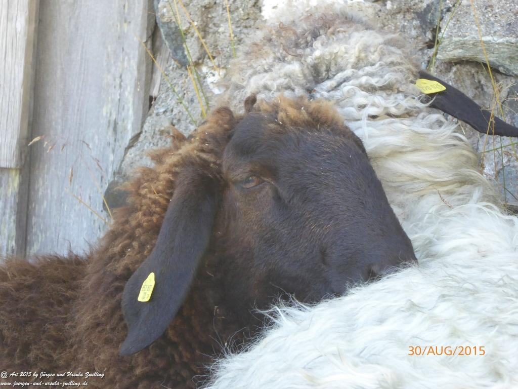 Philosophische Bildwanderung Neue Regensburger Hütte - Neustift in Tirol - Stubaital - Österreich
