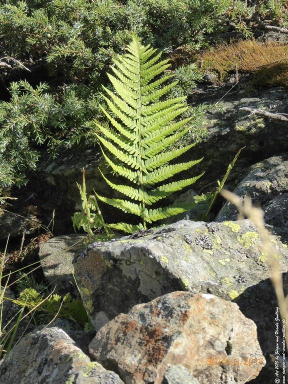 Philosophische Bildwanderung Neue Regensburger Hütte - Neustift in Tirol - Stubaital - Österreich