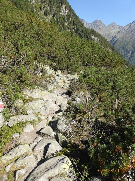 Philosophische Bildwanderung Neue Regensburger Hütte - Neustift in Tirol - Stubaital - Österreich