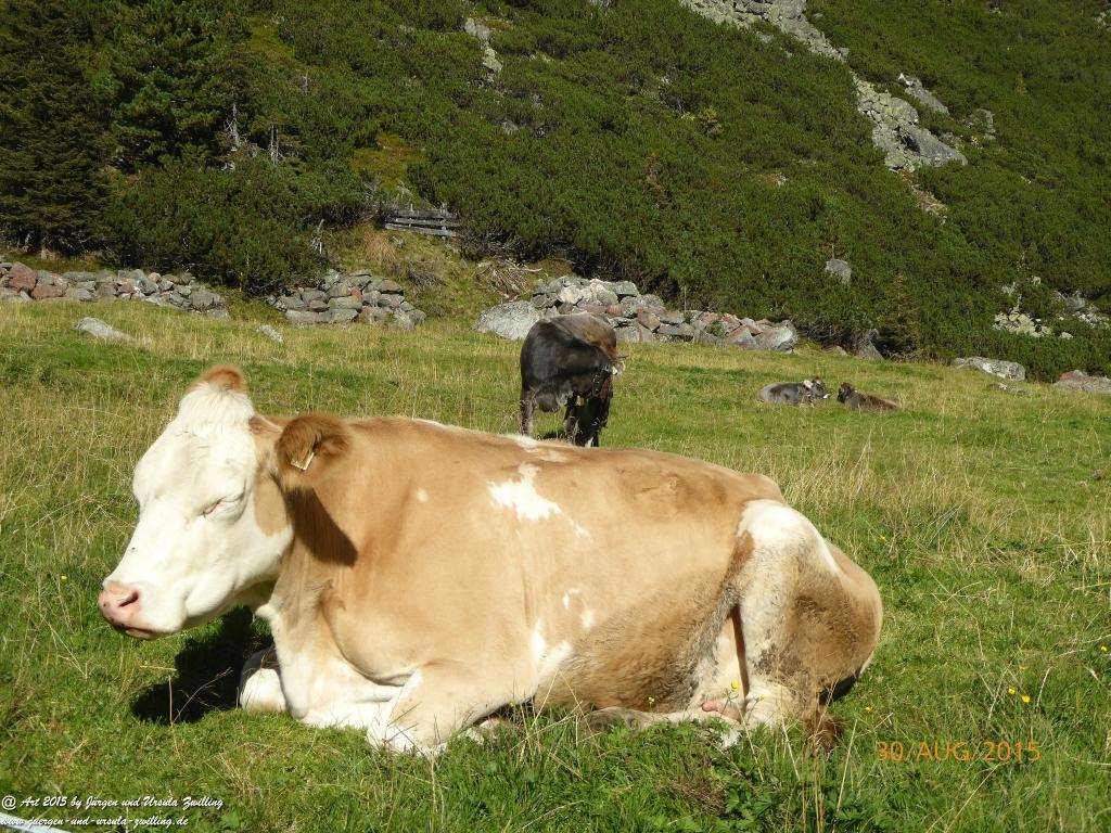 Philosophische Bildwanderung Neue Regensburger Hütte - Neustift in Tirol - Stubaital - Österreich
