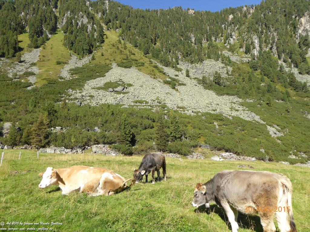 Philosophische Bildwanderung Neue Regensburger Hütte - Neustift in Tirol - Stubaital - Österreich