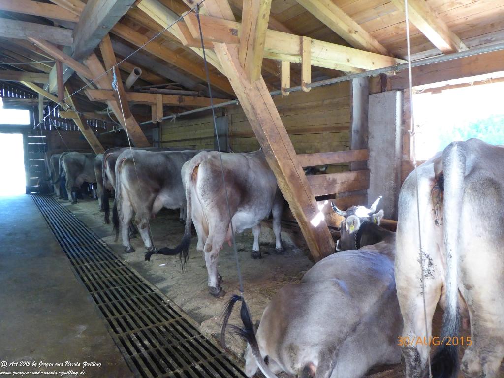 Philosophische Bildwanderung Neue Regensburger Hütte - Neustift in Tirol - Stubaital - Österreich