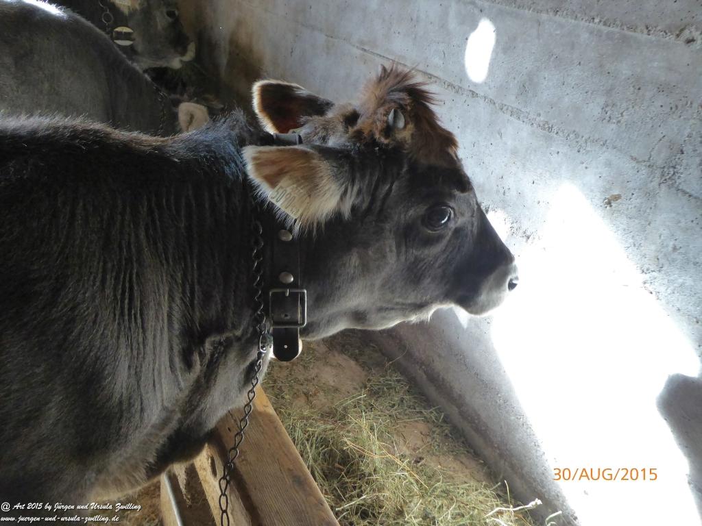 Philosophische Bildwanderung Neue Regensburger Hütte - Neustift in Tirol - Stubaital - Österreich