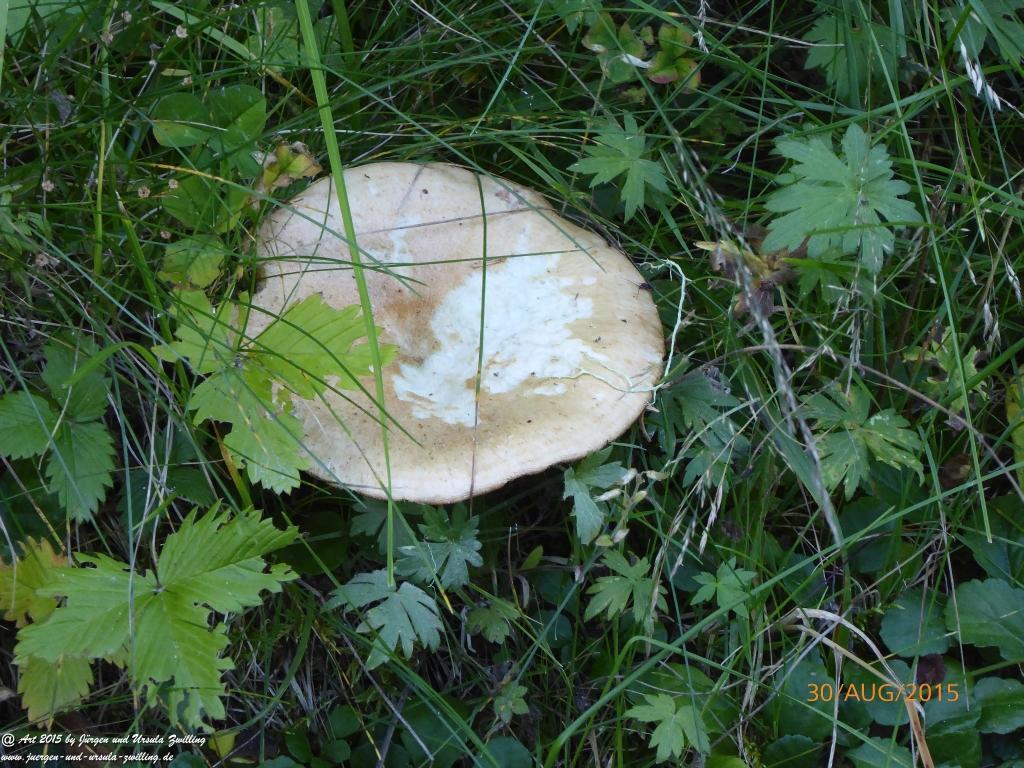 Philosophische Bildwanderung Neue Regensburger Hütte - Neustift in Tirol - Stubaital - Österreich
