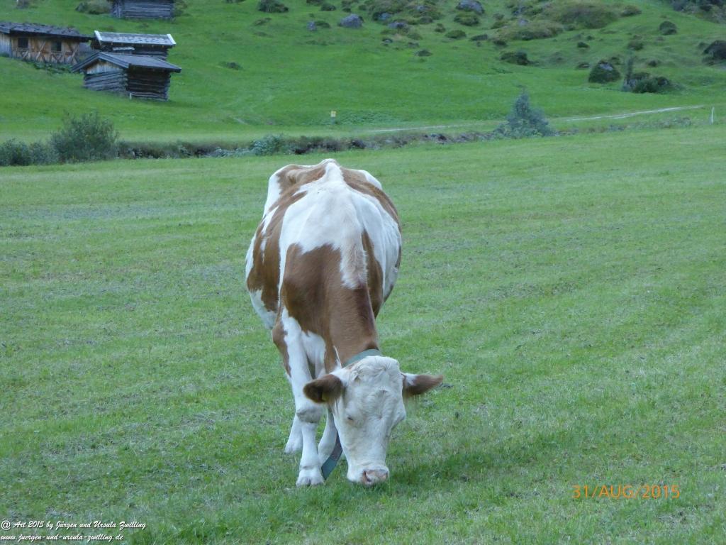 Philosophische Bildwanderung Nürnberger Hütte im Stubaital