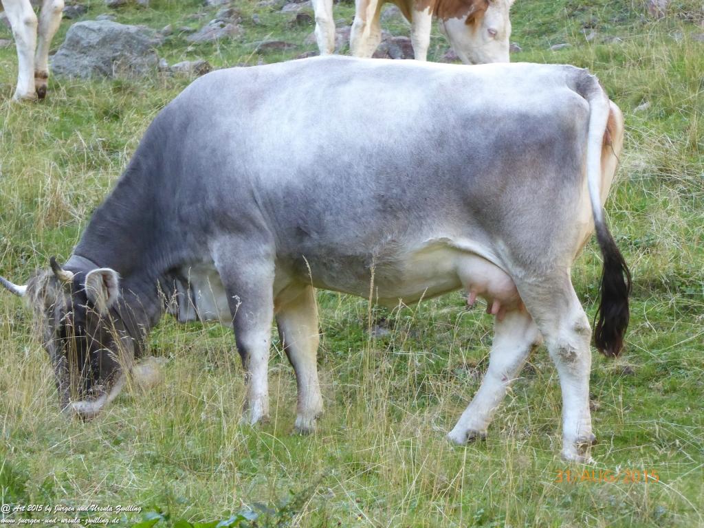 Philosophische Bildwanderung Nürnberger Hütte im Stubaital