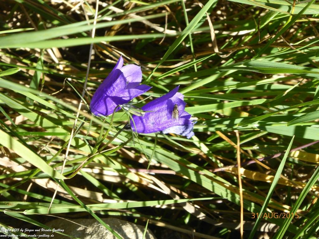 Philosophische Bildwanderung Nürnberger Hütte im Stubaital