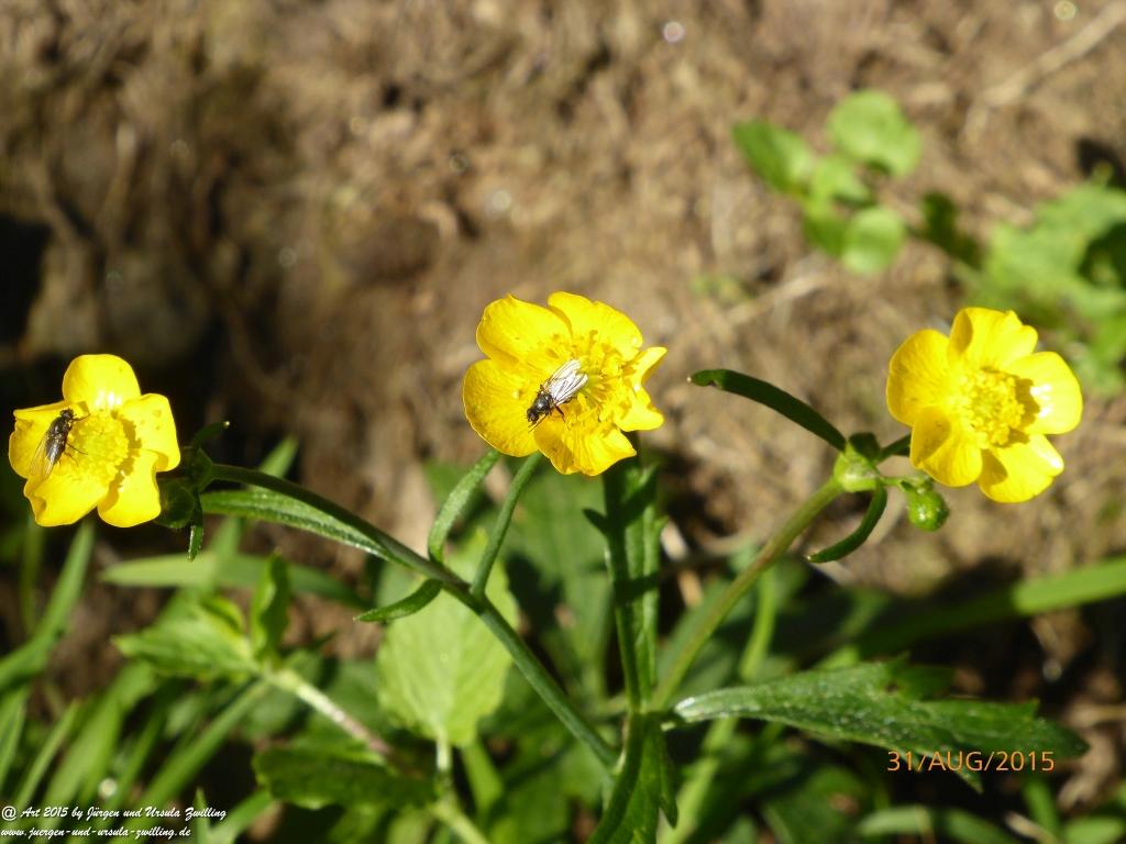 Philosophische Bildwanderung Nürnberger Hütte im Stubaital