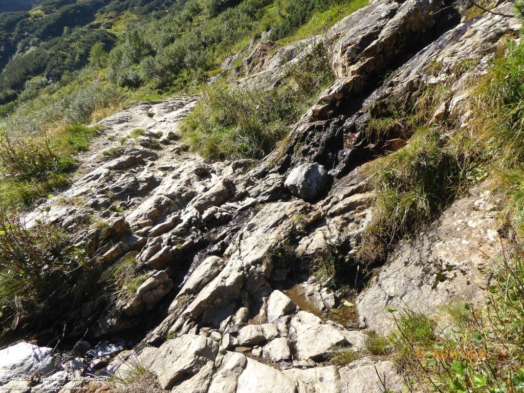 Philosophische Bildwanderung Nürnberger Hütte im Stubaital