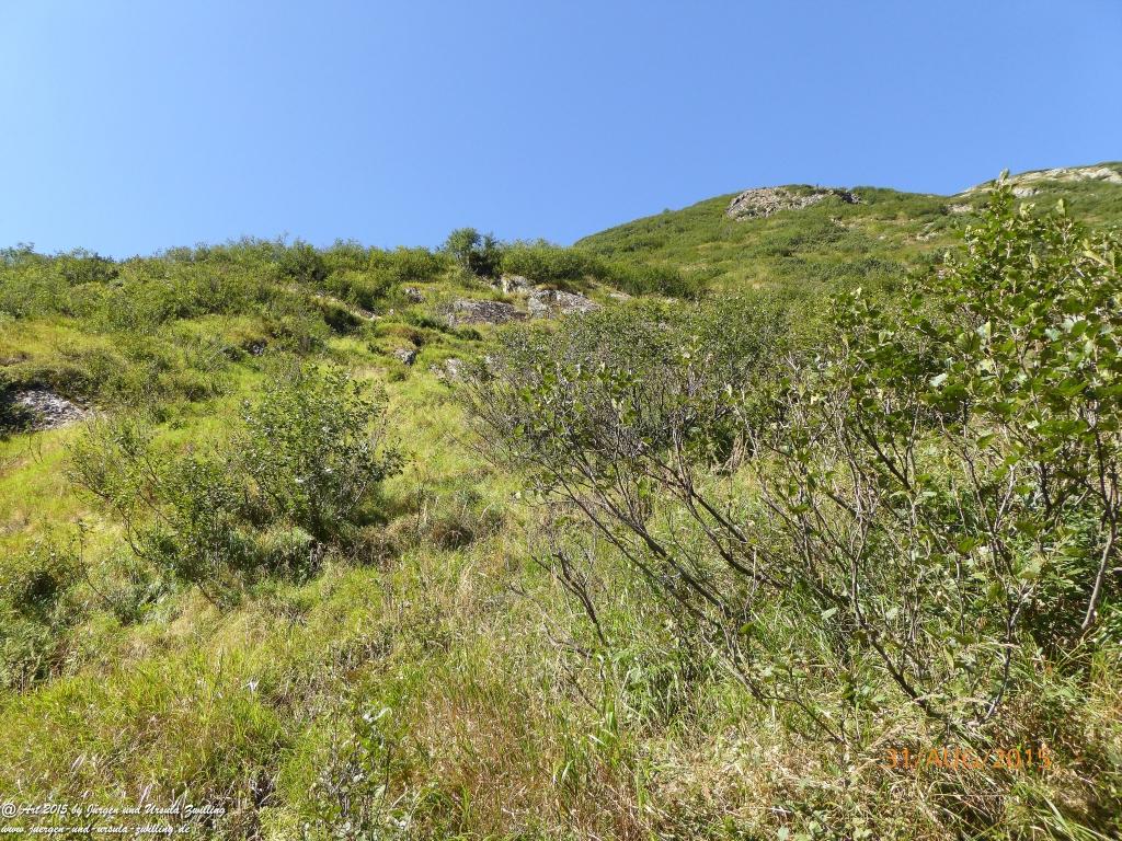 Philosophische Bildwanderung Nürnberger Hütte im Stubaital