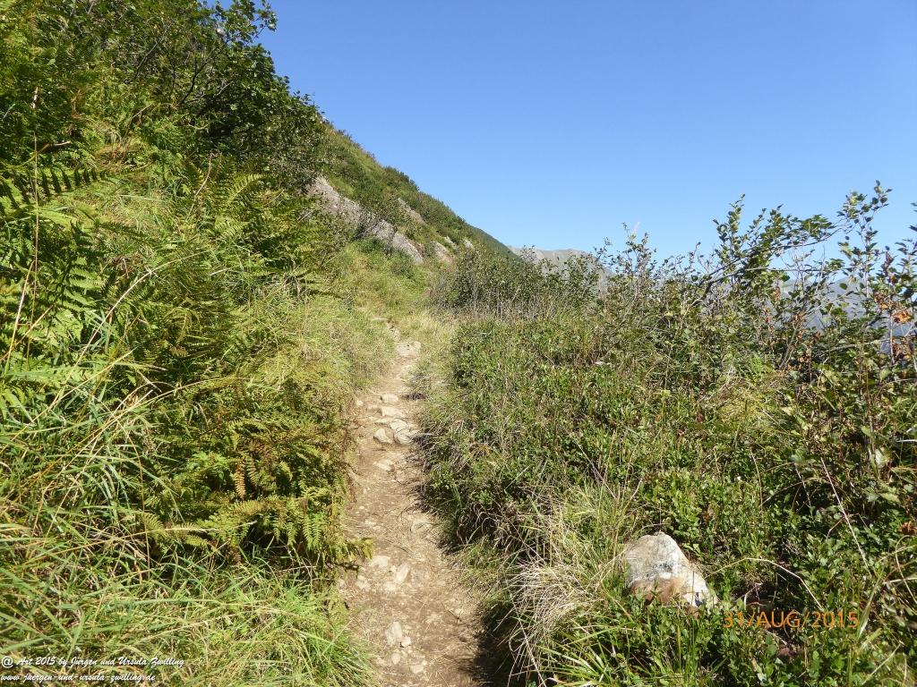 Philosophische Bildwanderung Nürnberger Hütte im Stubaital