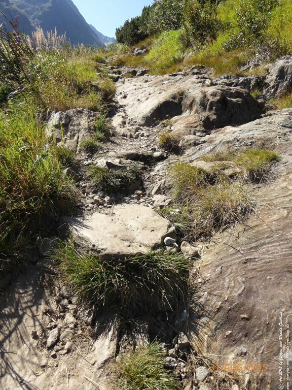 Philosophische Bildwanderung Nürnberger Hütte im Stubaital