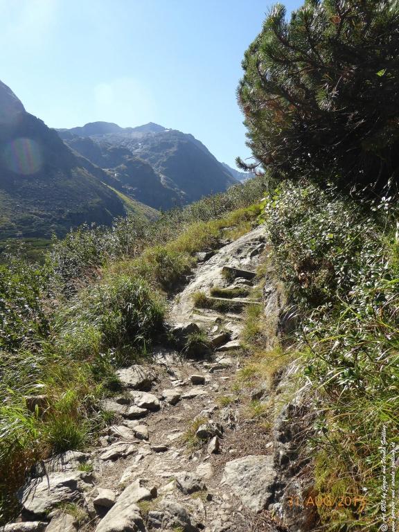 Philosophische Bildwanderung Nürnberger Hütte im Stubaital
