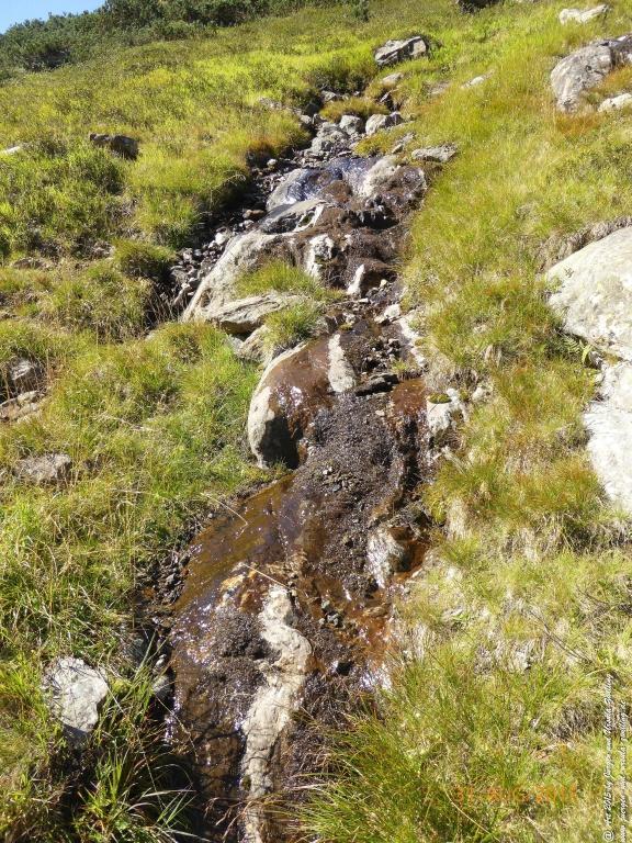 Philosophische Bildwanderung Nürnberger Hütte im Stubaital