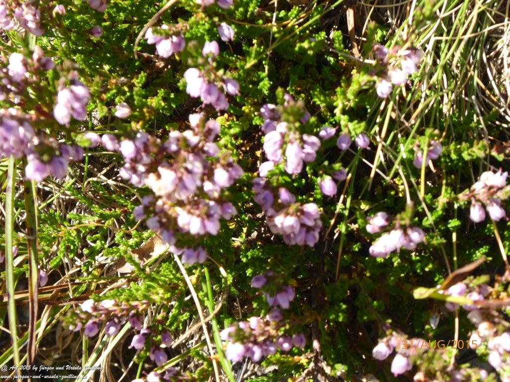 Philosophische Bildwanderung Nürnberger Hütte im Stubaital